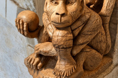Tête de singe